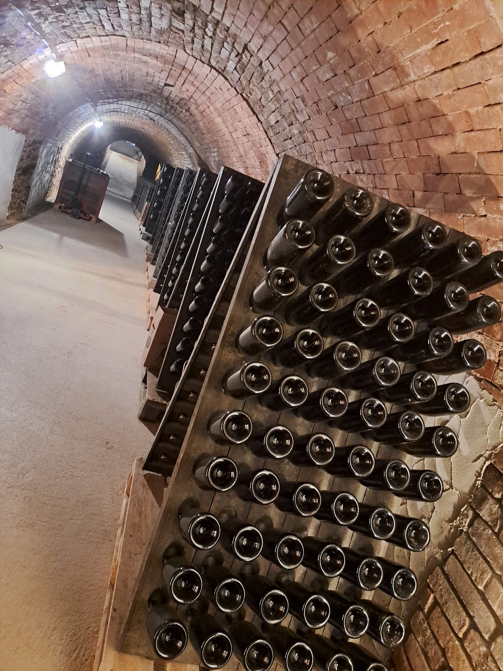 Kellerführung im Steinkeller